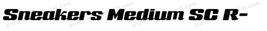Sneakers Medium SC R字体转换
